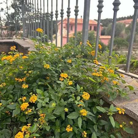 Vila Orsola Chia